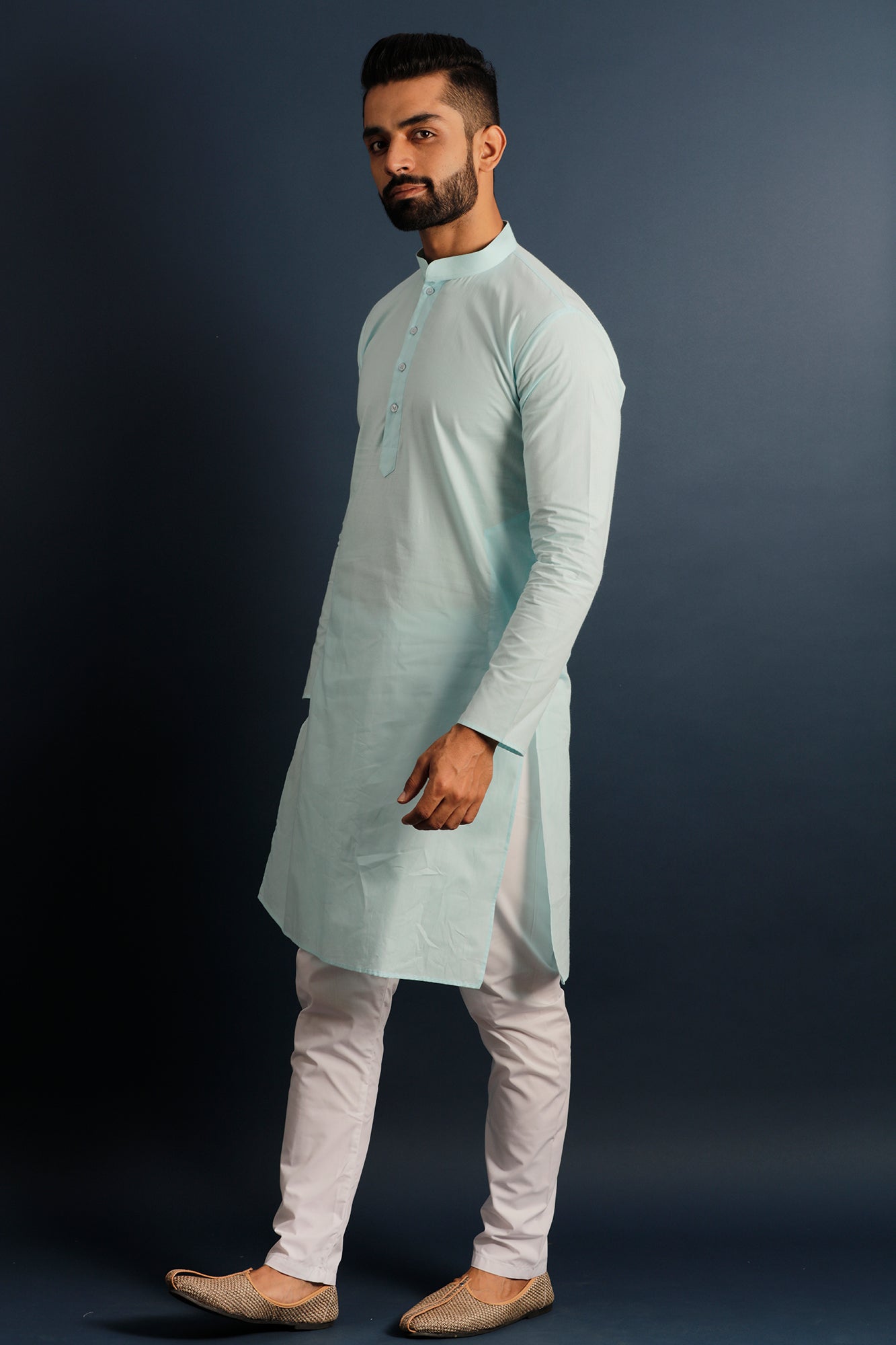 Mandarin Collar Long Sleeves Pure Cotton Straight Kurta