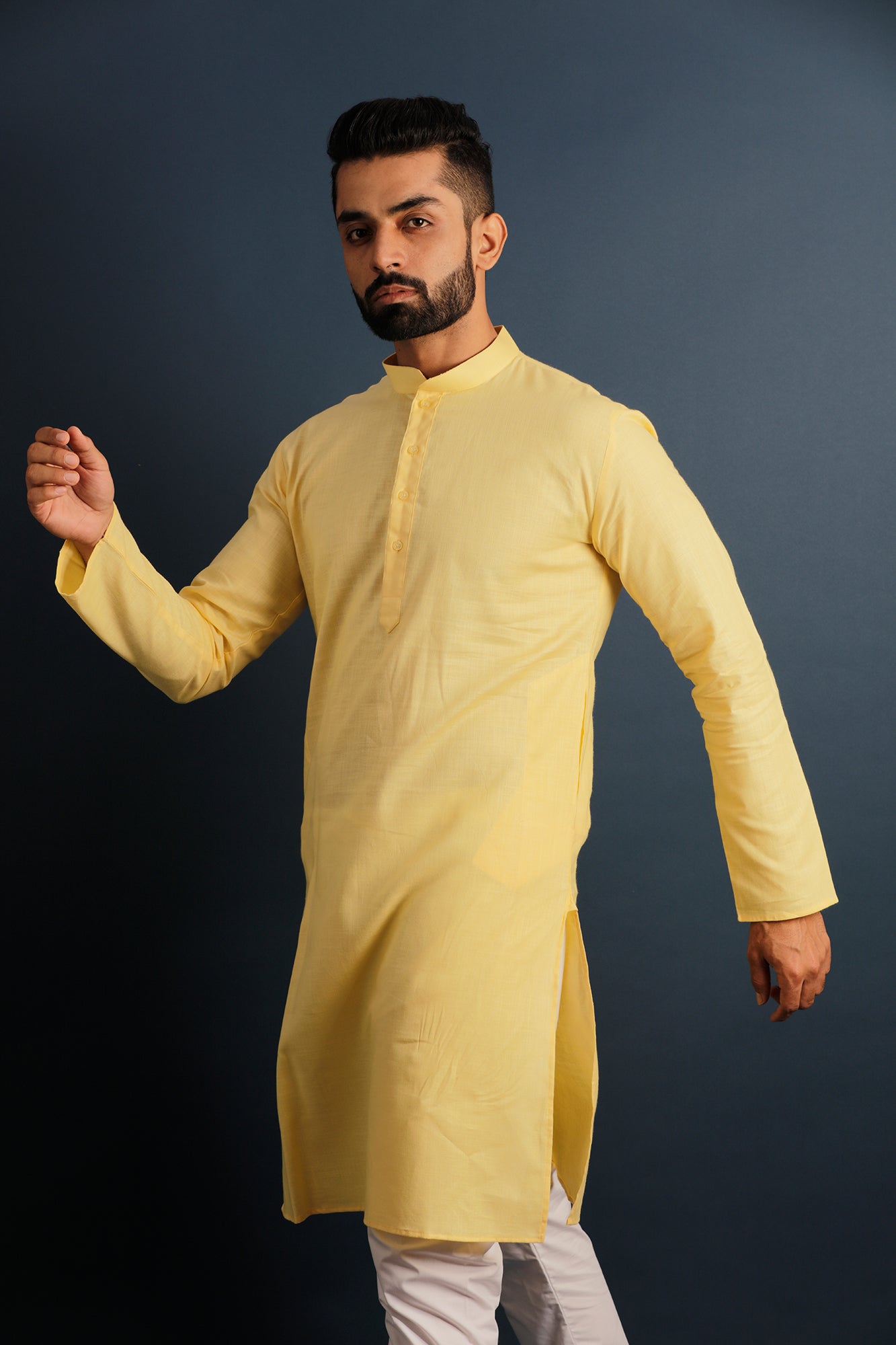 Mandarin Collar Long Sleeves Pure Cotton Straight Kurta